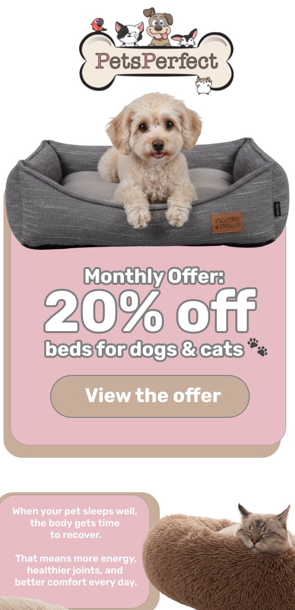 Email Campaign Preview