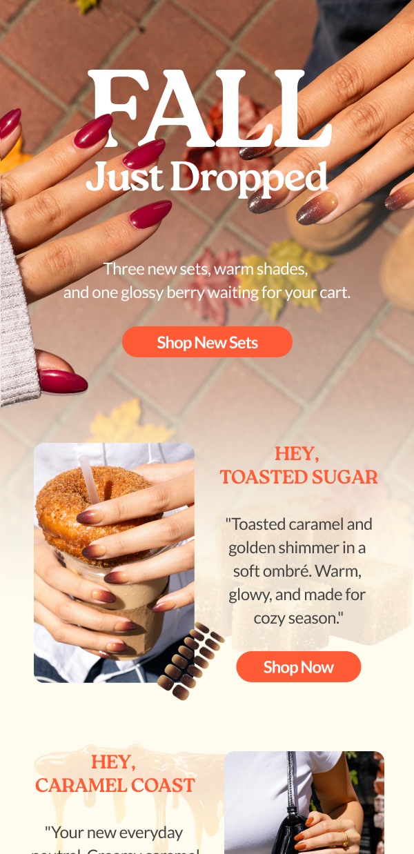 Email Campaign Preview