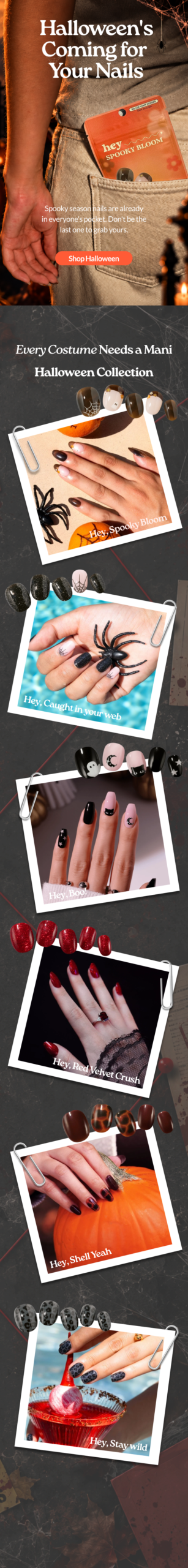 Full Email Campaign