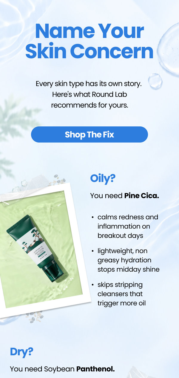 Email Campaign Preview