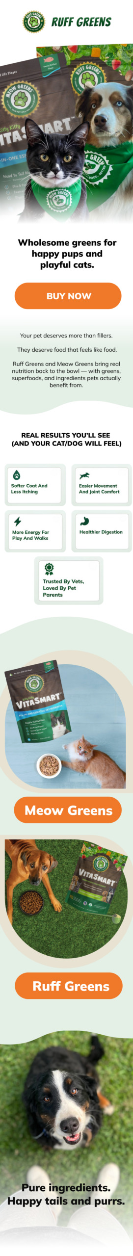 Full Email Campaign