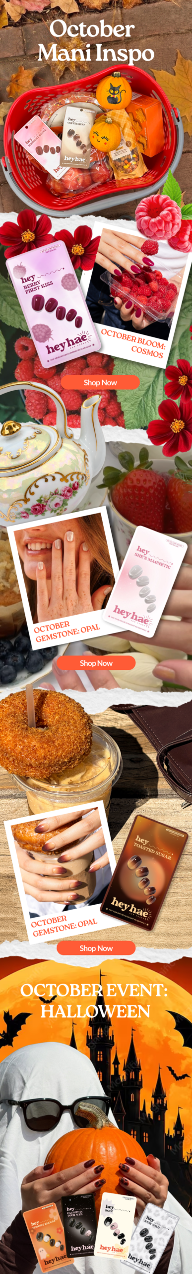 Full Email Campaign