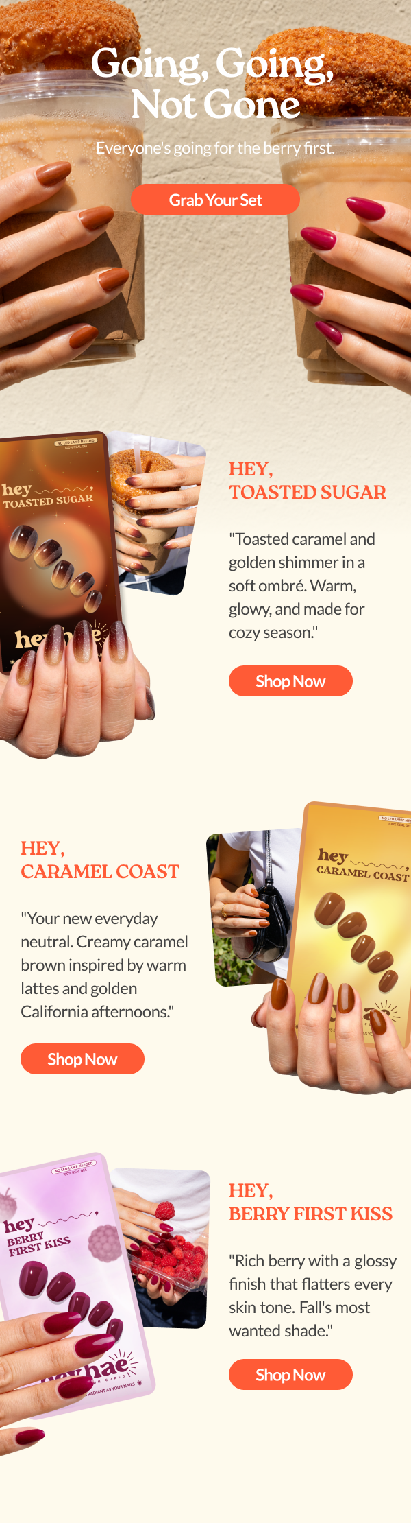Full Email Campaign